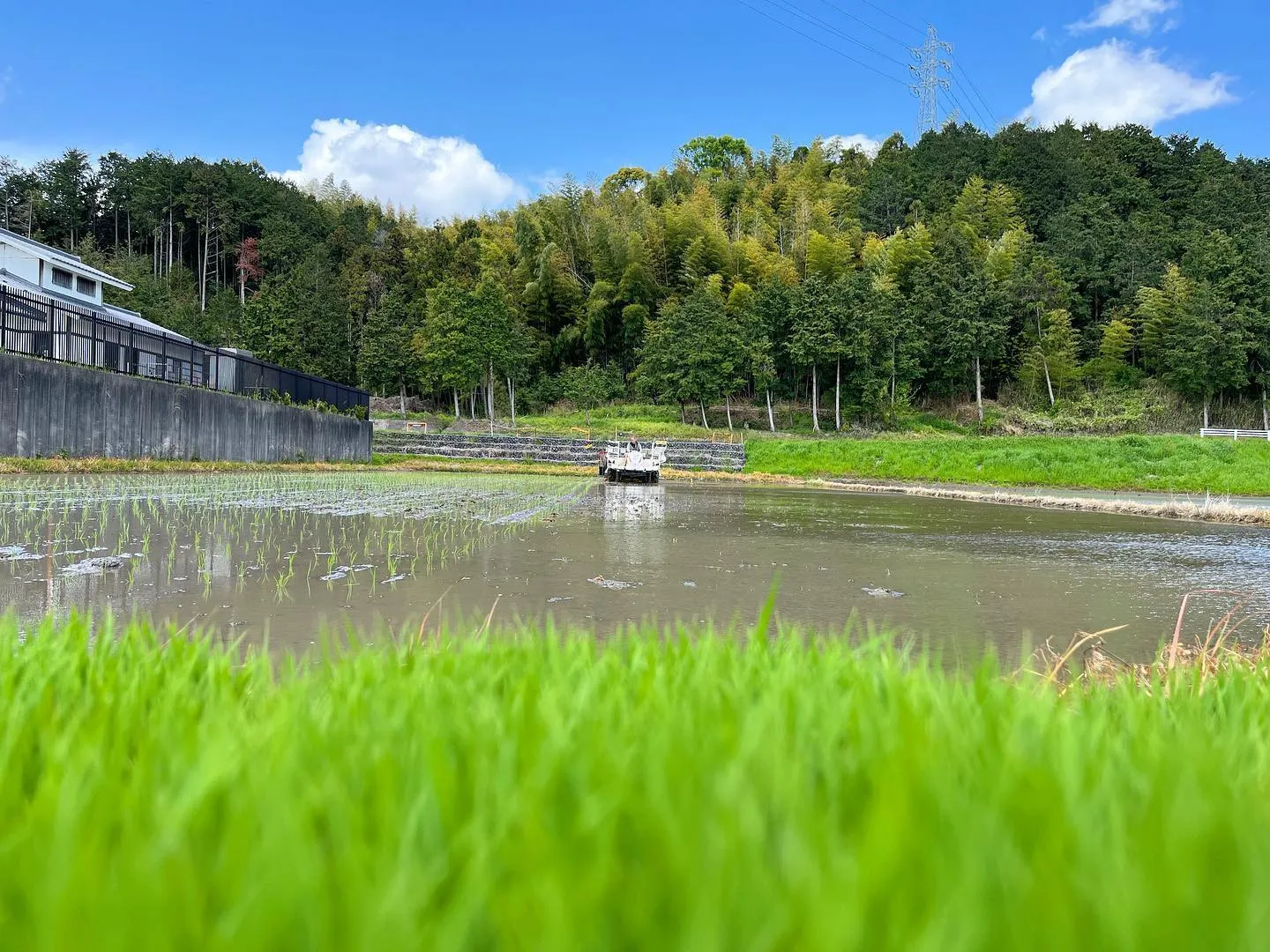 田植えスタート🌱