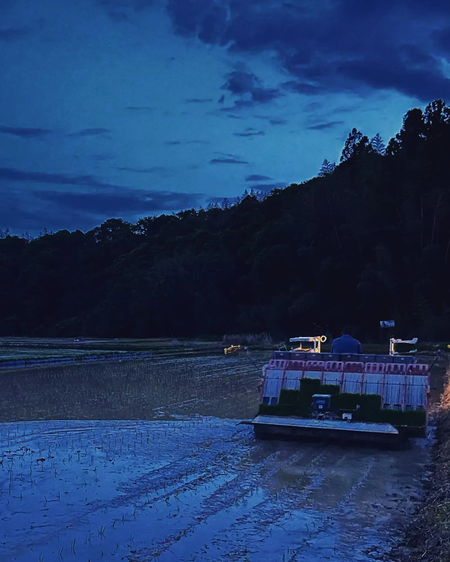 振り返り投稿　田植え